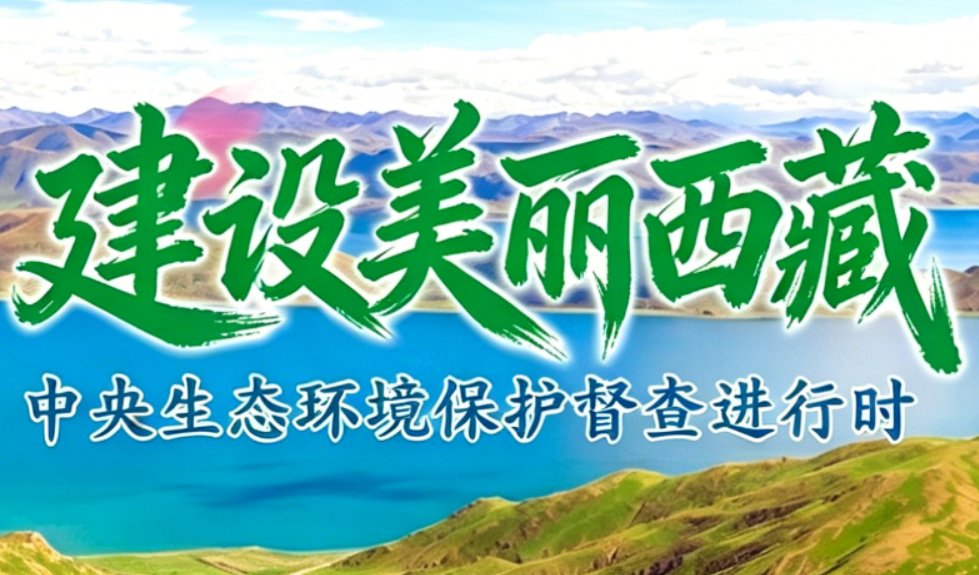 联合韦德真人国际